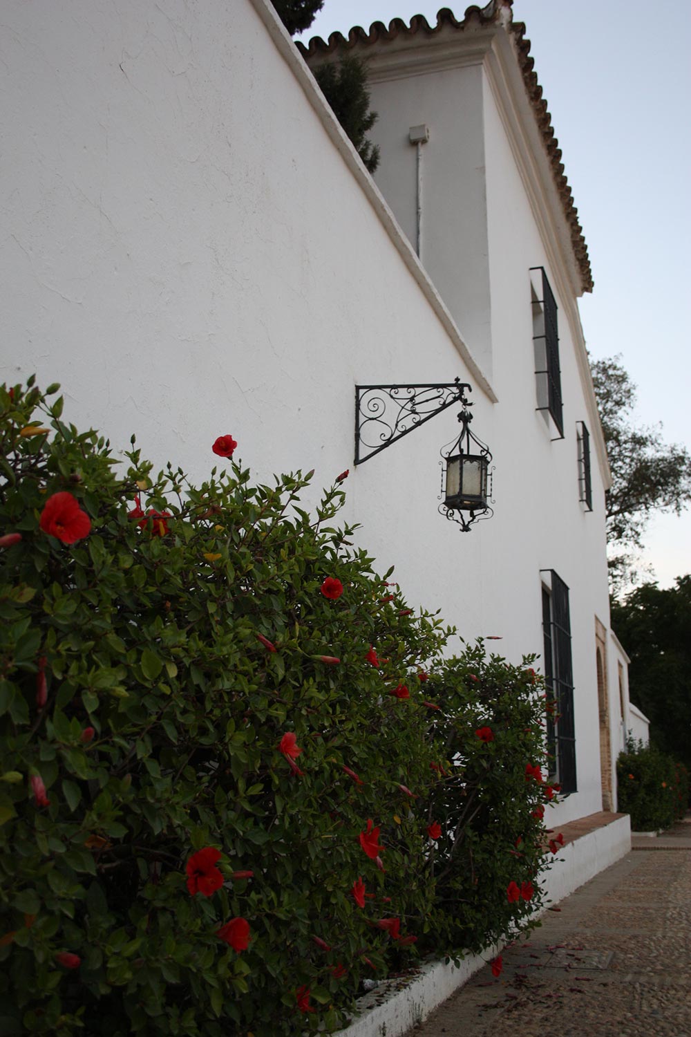 Monasterio de la Rábida 6