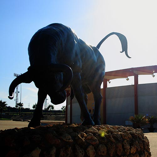 Plaza de Toros